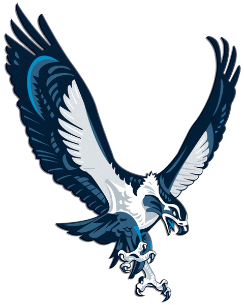 Seattle Seahawks 2002-2011 Alternate Logo t shirt iron on transfers